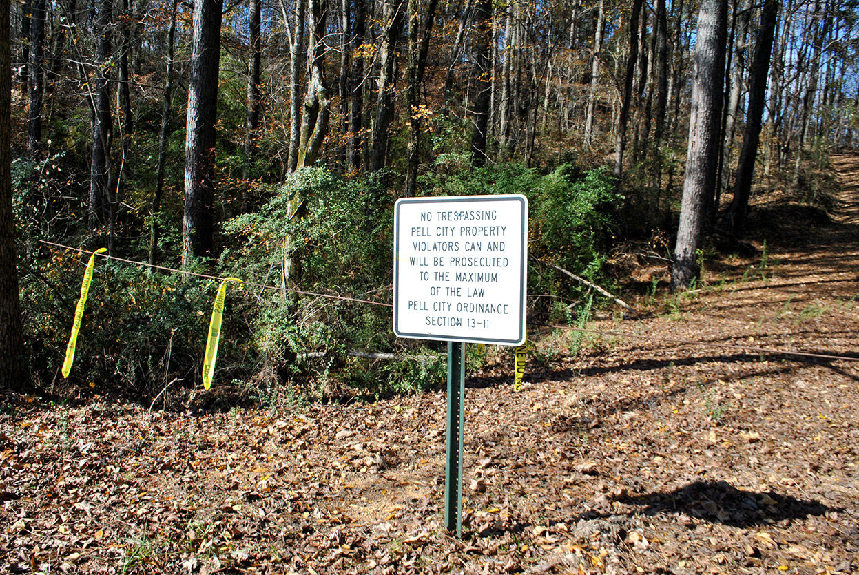 Pell City land for sale